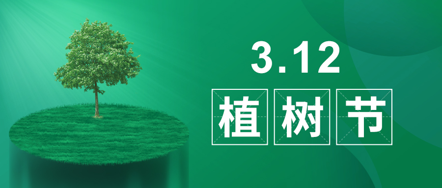 3.12植樹節(jié)|除了植樹，我們還能做什么？